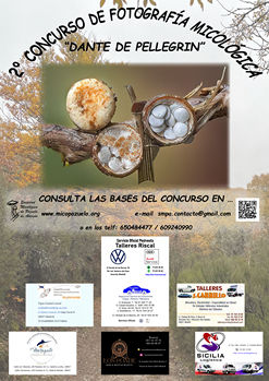 Concurso fotográfico